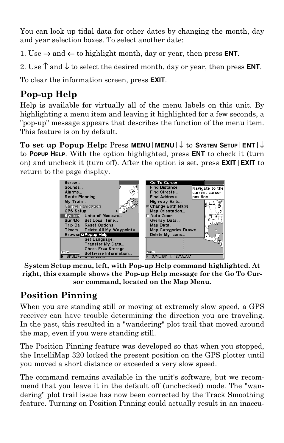 Pop-up help, Position pinning | Eagle Electronics IntelliMap 320 User Manual | Page 91 / 128