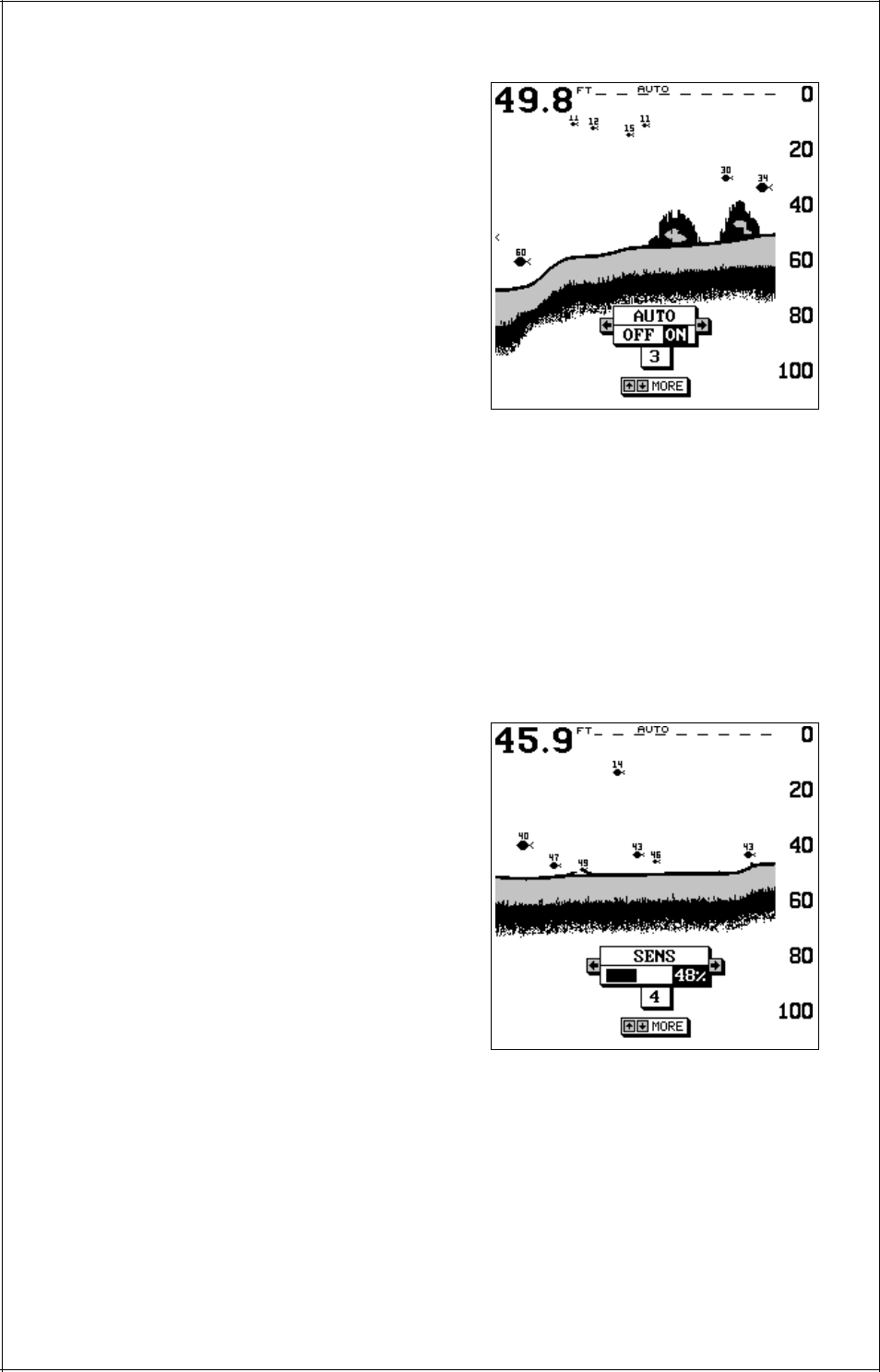 Eagle Electronics Accura 240 User Manual | Page 12 / 34