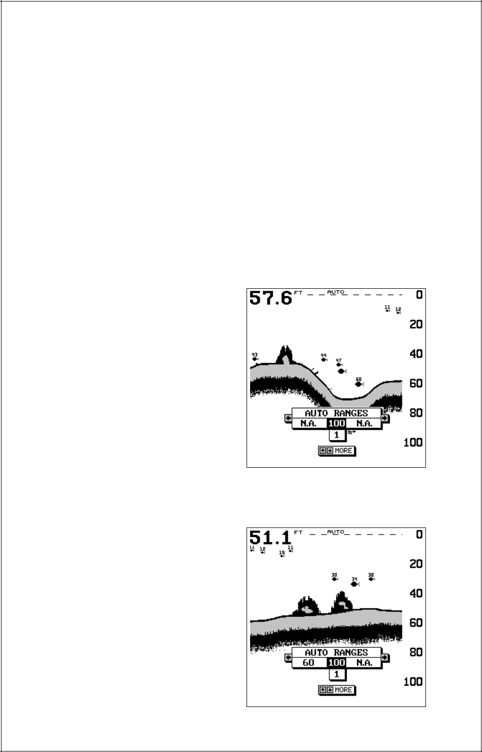 Eagle Electronics Accura 240 User Manual | Page 13 / 34