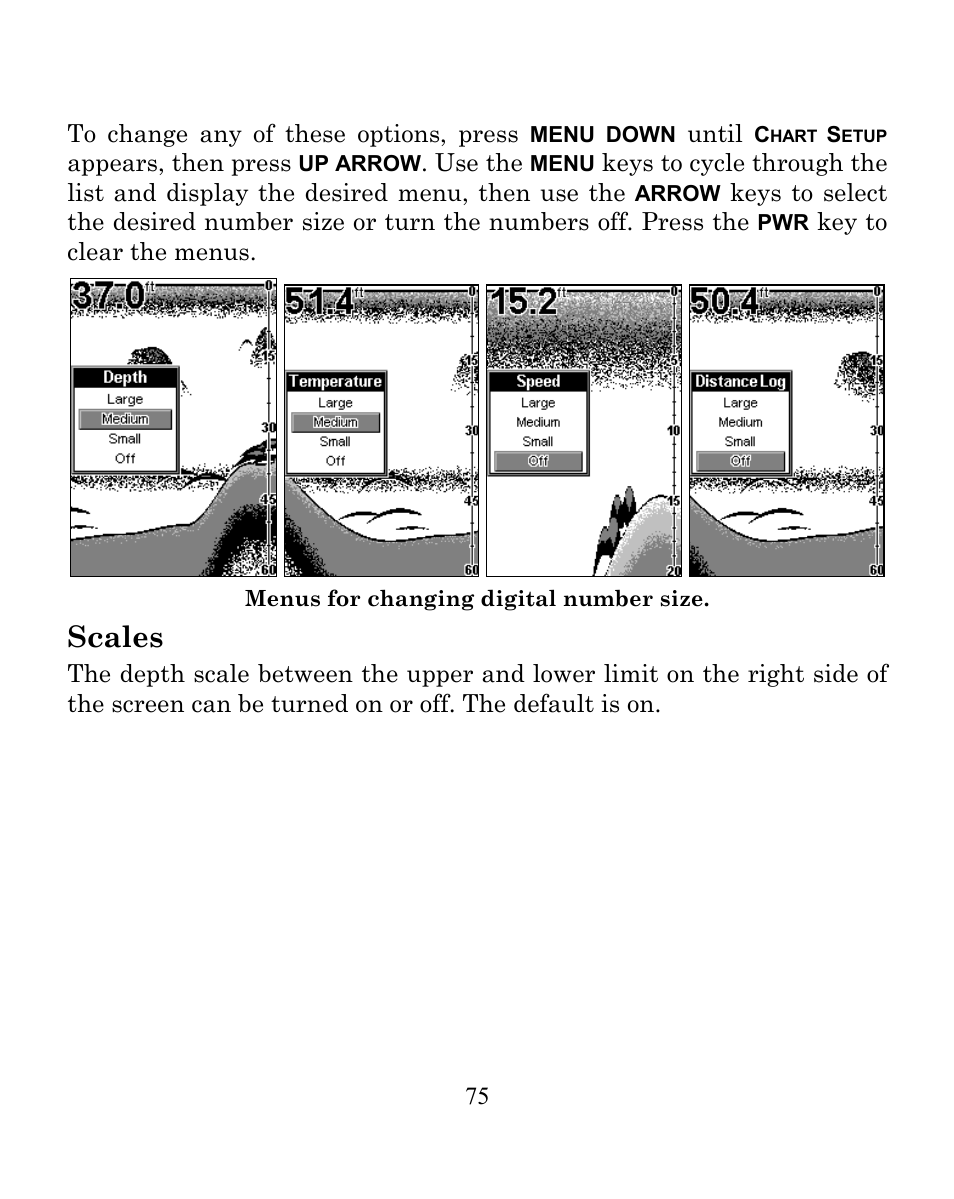 Scales | Eagle Electronics FISHEASY 240 User Manual | Page 81 / 92