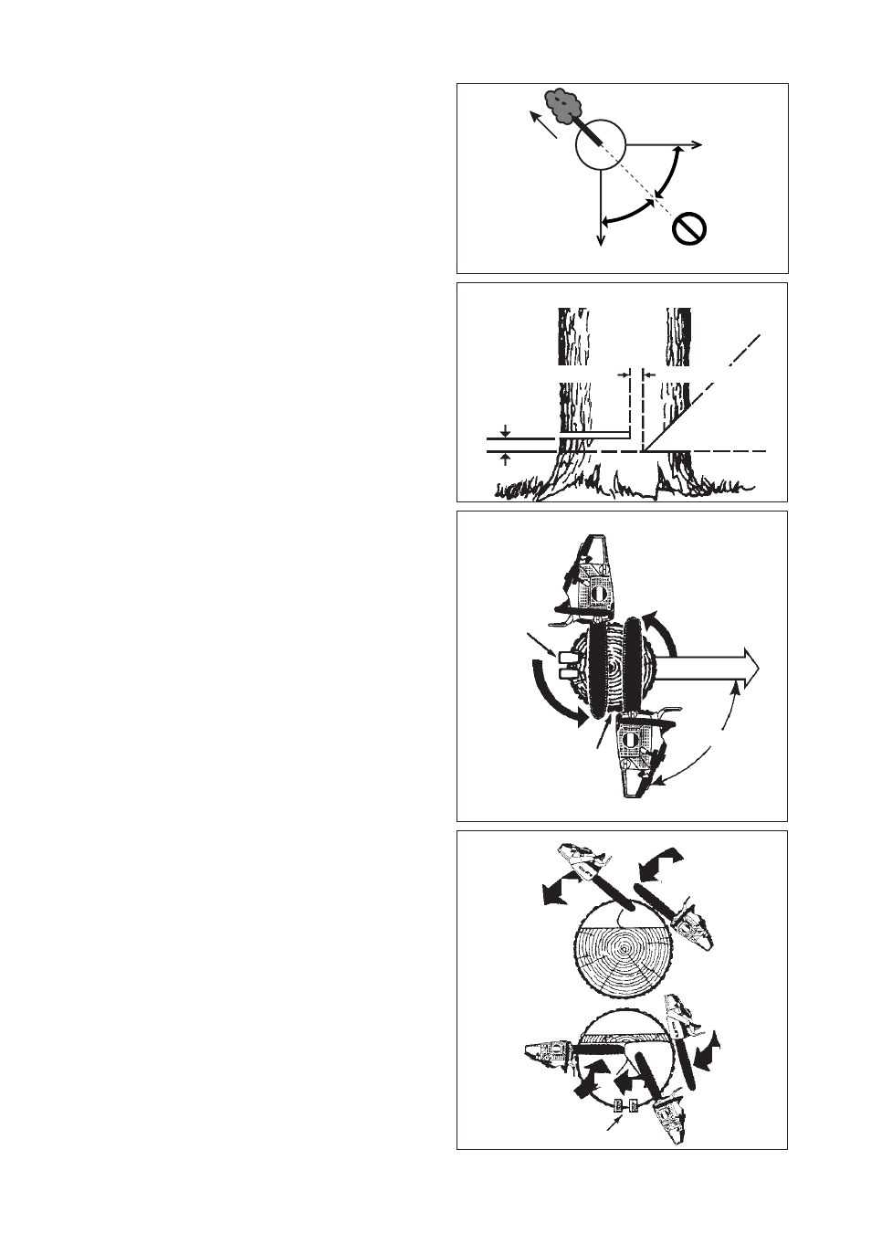 Echo CS-1201 User Manual | Page 11 / 20