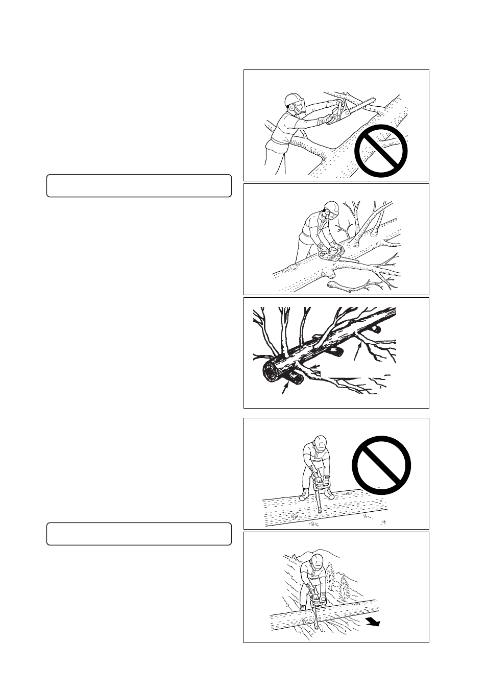 Echo CS-1201 User Manual | Page 12 / 20