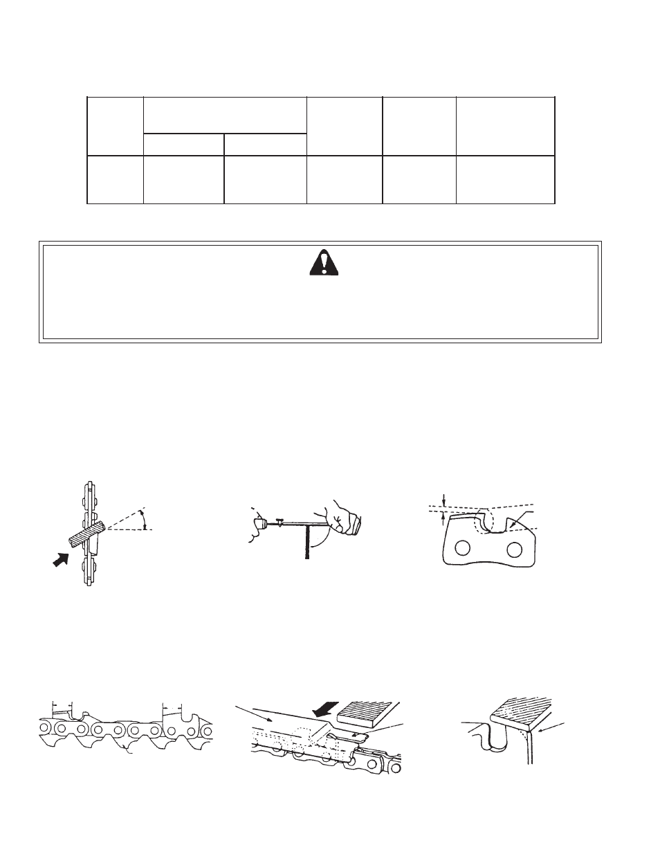 Chain and guide bar combination, Warning danger | Echo CS-300 User Manual | Page 18 / 24