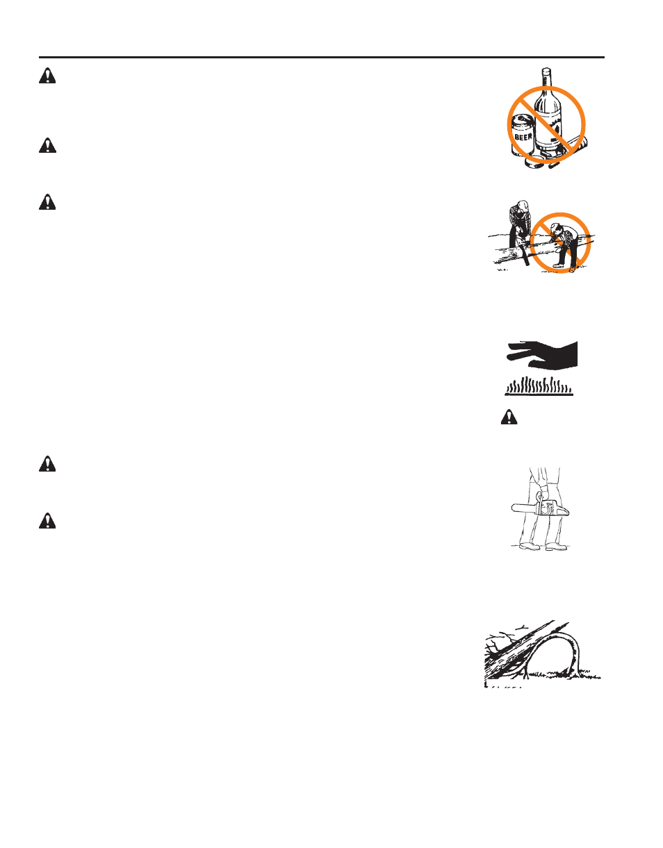 Key safety and risk prevention rules | Echo X52000020 User Manual | Page 20 / 36