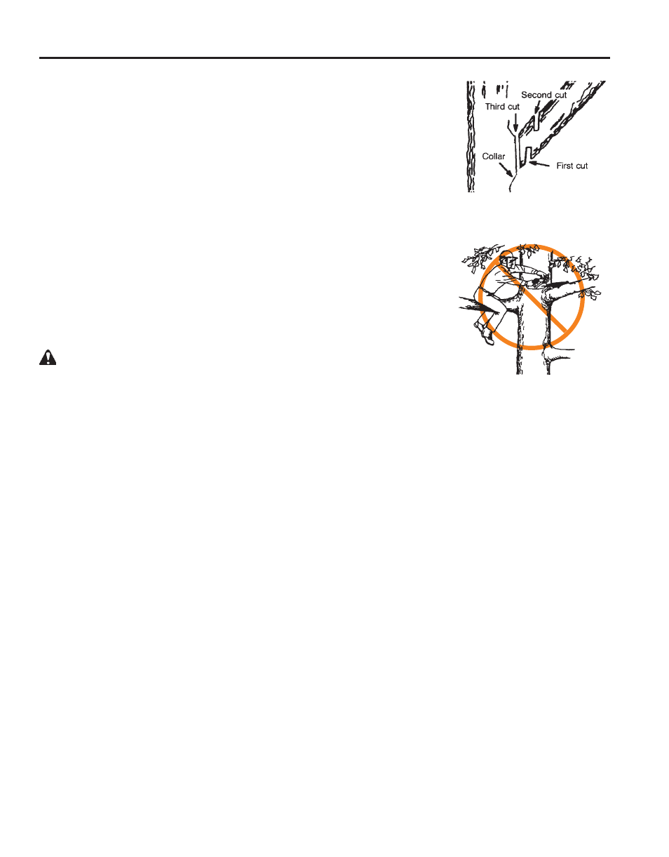 Pruning shade trees and cutting saplings | Echo X52000020 User Manual | Page 26 / 36