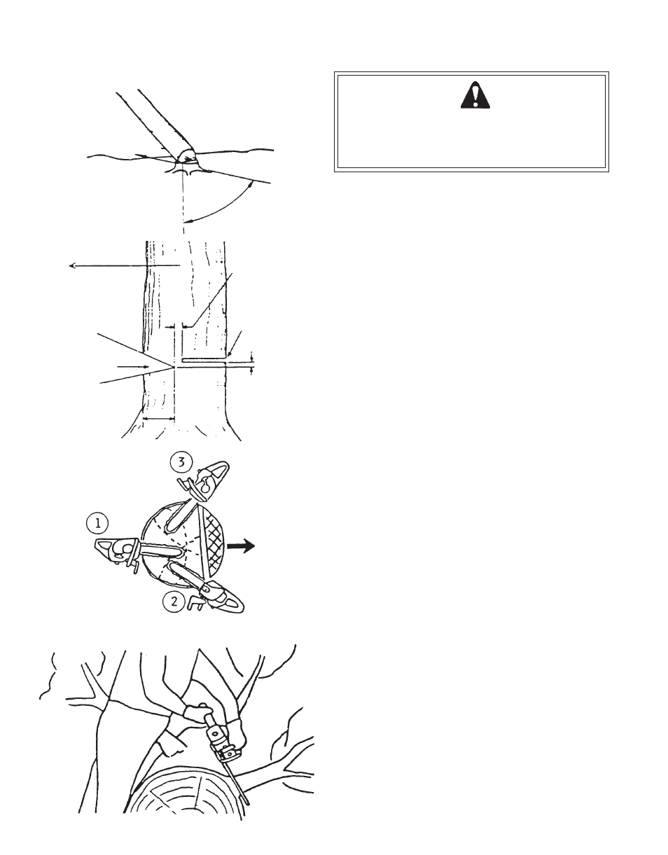 Warning danger | Echo CS-330T User Manual | Page 14 / 28