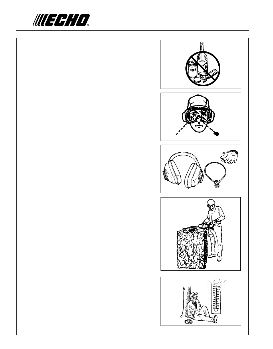 Echo HC-2410 User Manual | Page 6 / 34