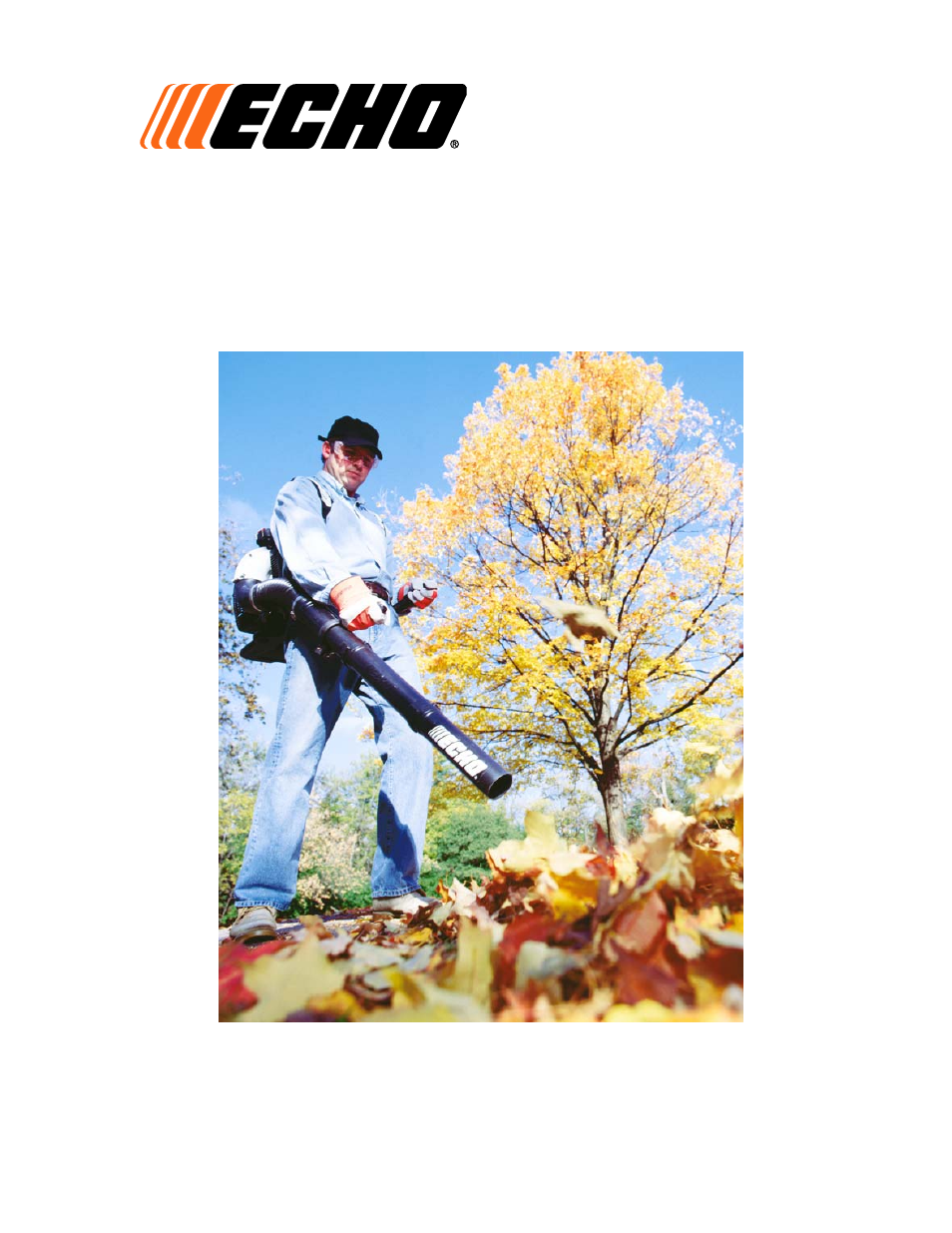 Echo LEAF BLOWER User Manual | 13 pages