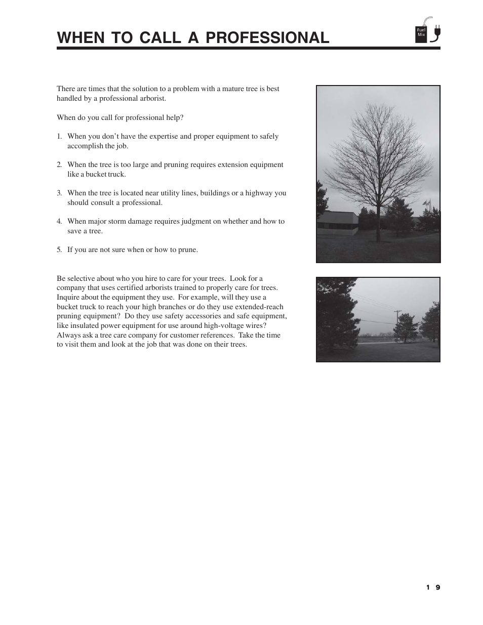 When to call a professional | Echo Pole Pruner User Manual | Page 19 / 24