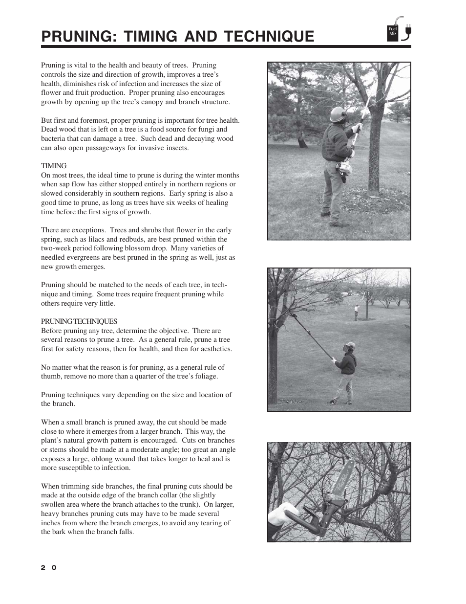 Pruning: timing and technique | Echo Pole Pruner User Manual | Page 20 / 24