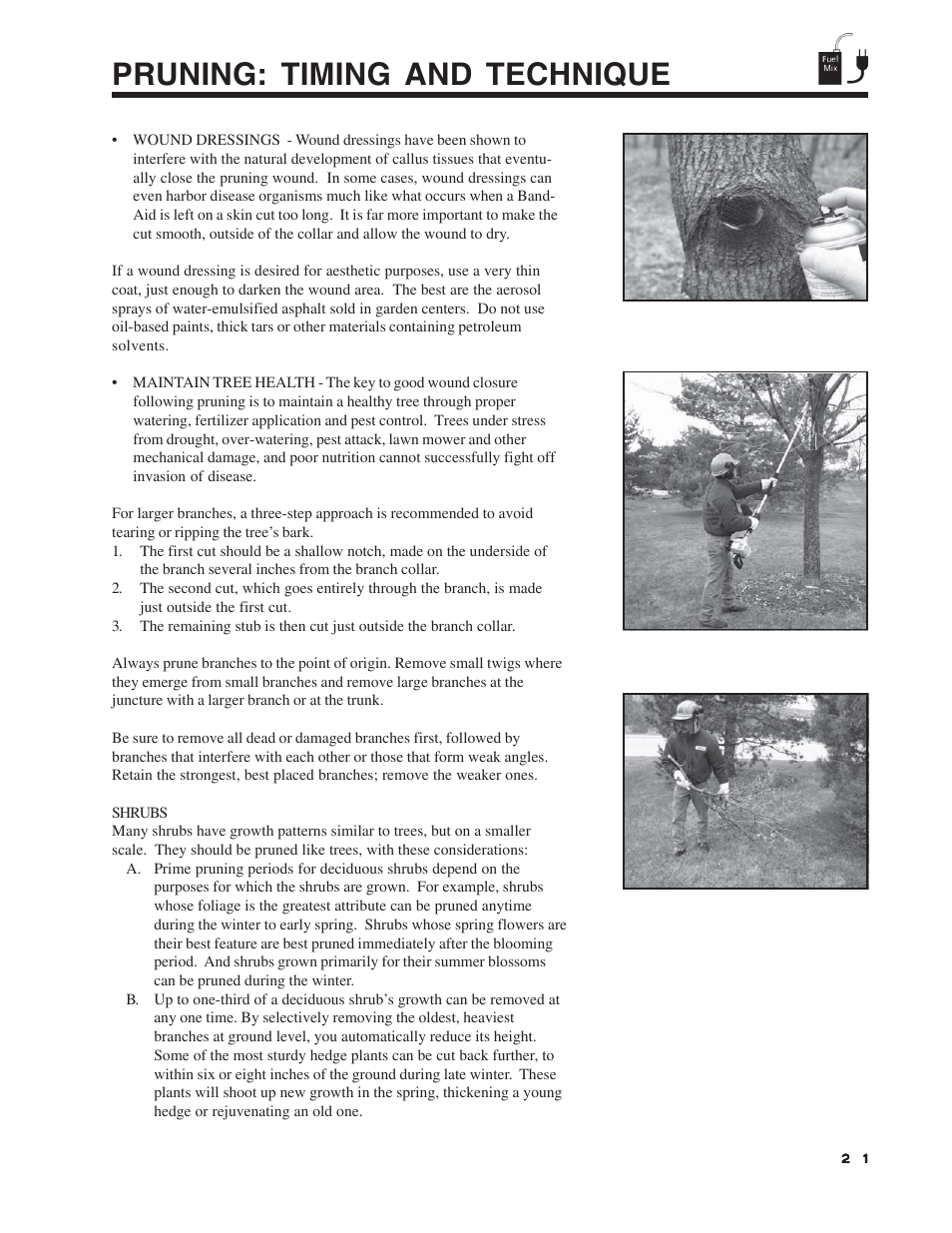 Pruning: timing and technique | Echo Pole Pruner User Manual | Page 21 / 24