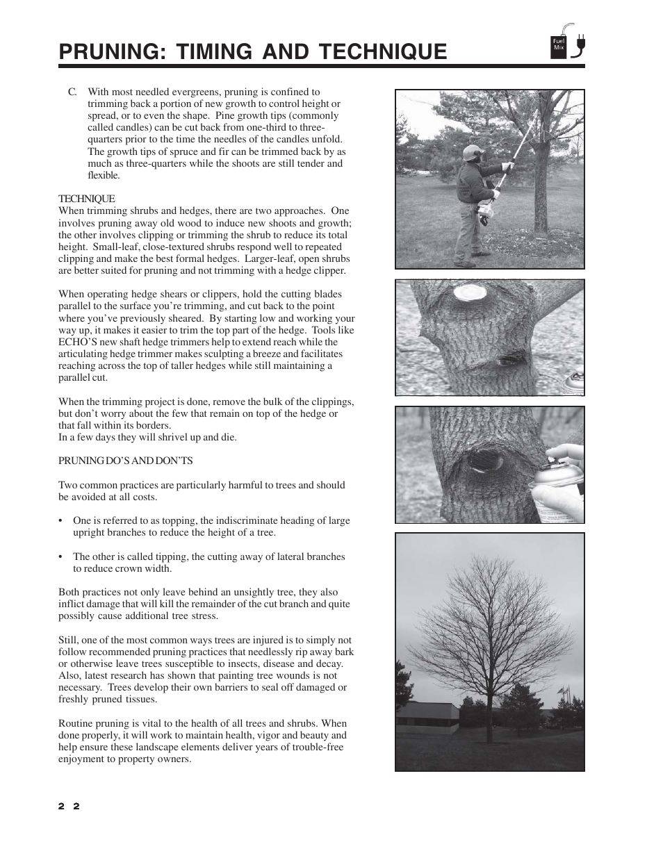 Pruning: timing and technique | Echo Pole Pruner User Manual | Page 22 / 24
