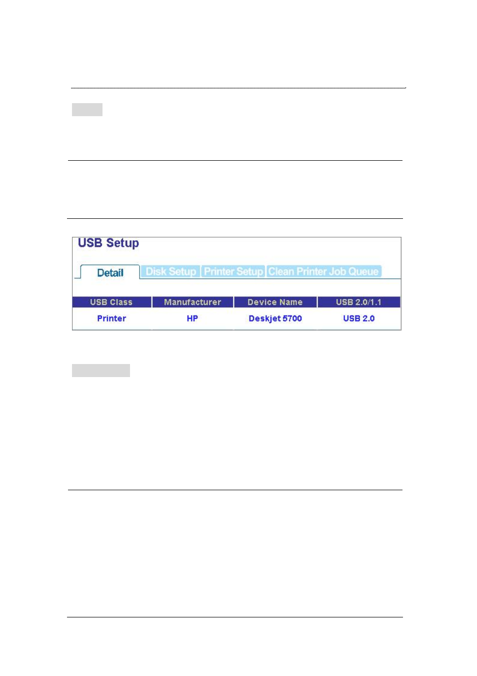 Detail, Disk setup, Usb storage information | Encore electronic ENNHD-1GS User Manual | Page 53 / 64