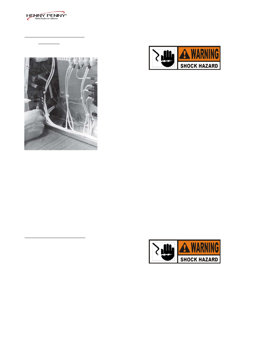 Henny Penny HCS-2 User Manual | Page 17 / 59