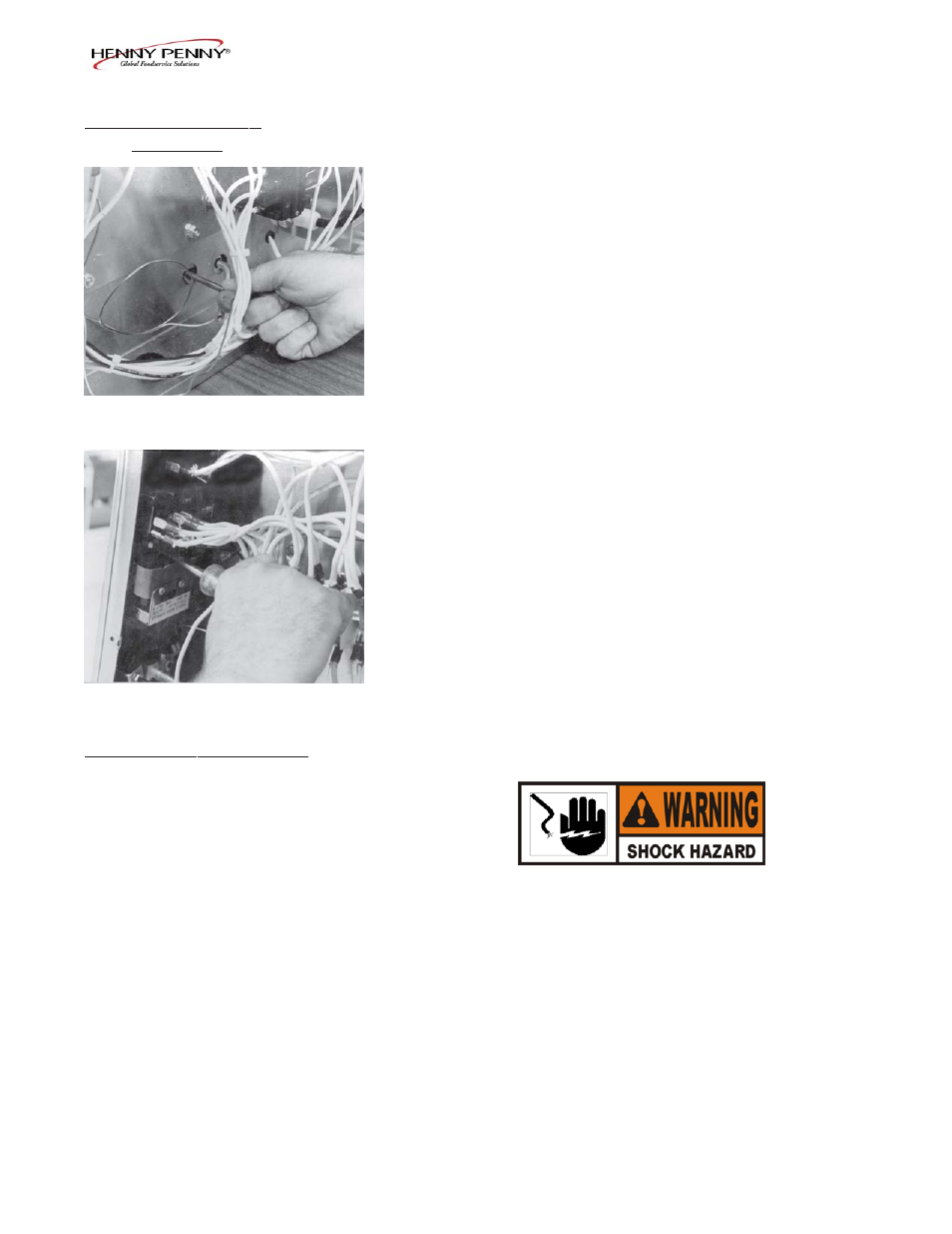 Henny Penny HCS-2 User Manual | Page 19 / 59