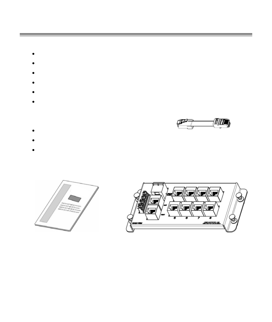 Introduction, Port voice module 3” jumper cord, User guide | HomeTech 8-Port Voice Module SAM-V8M User Manual | Page 2 / 8