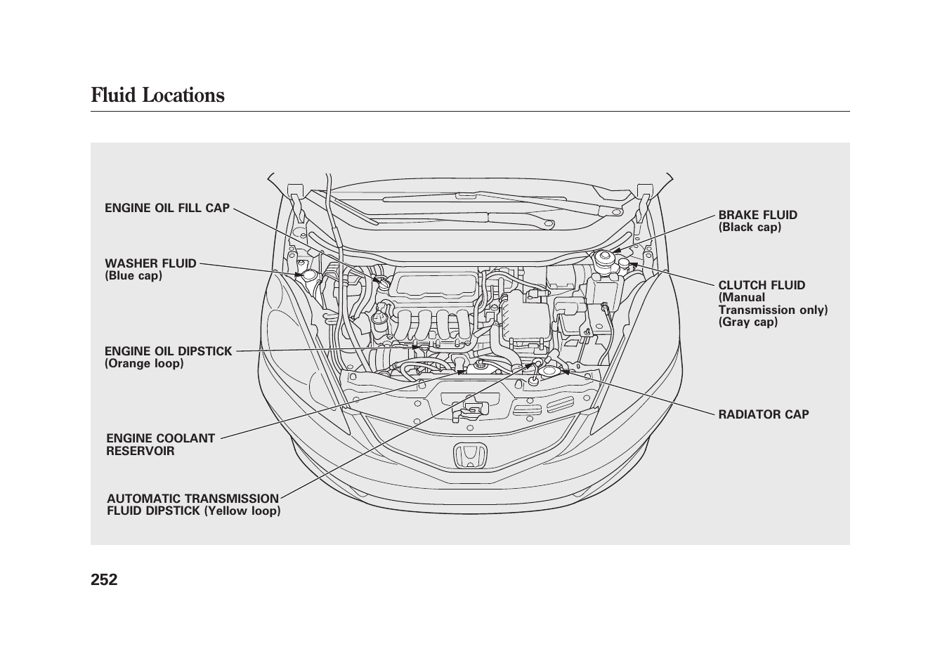 Fluid locations | HONDA 2010 Fit User Manual | Page 258 / 354