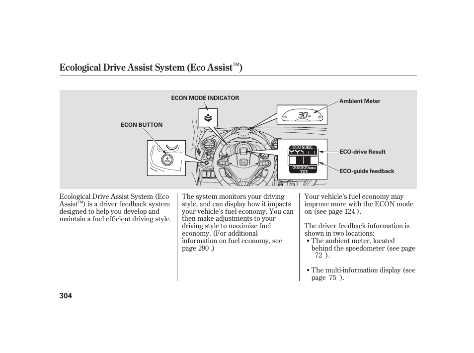 Ecological drive assist system (eco assist ) | HONDA 2010 Insight User Manual | Page 310 / 454