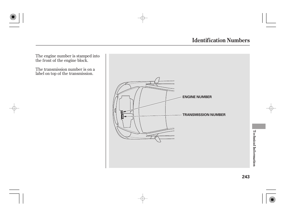 Identification numbers | HONDA 31SAA610 User Manual | Page 249 / 282