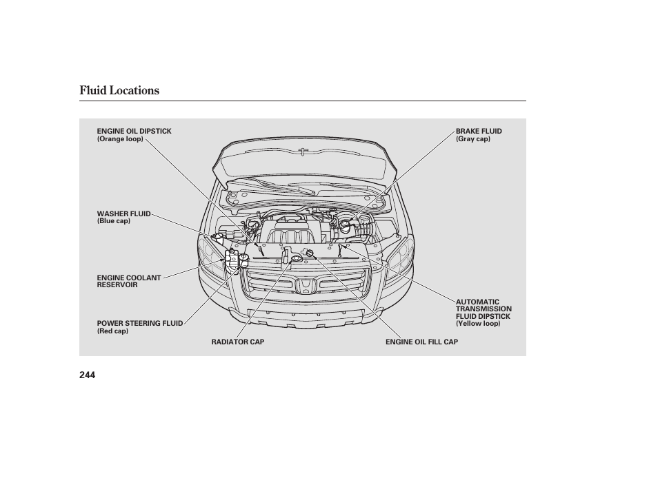 Fluid locations | HONDA 00X31-S9V-6502 User Manual | Page 250 / 330