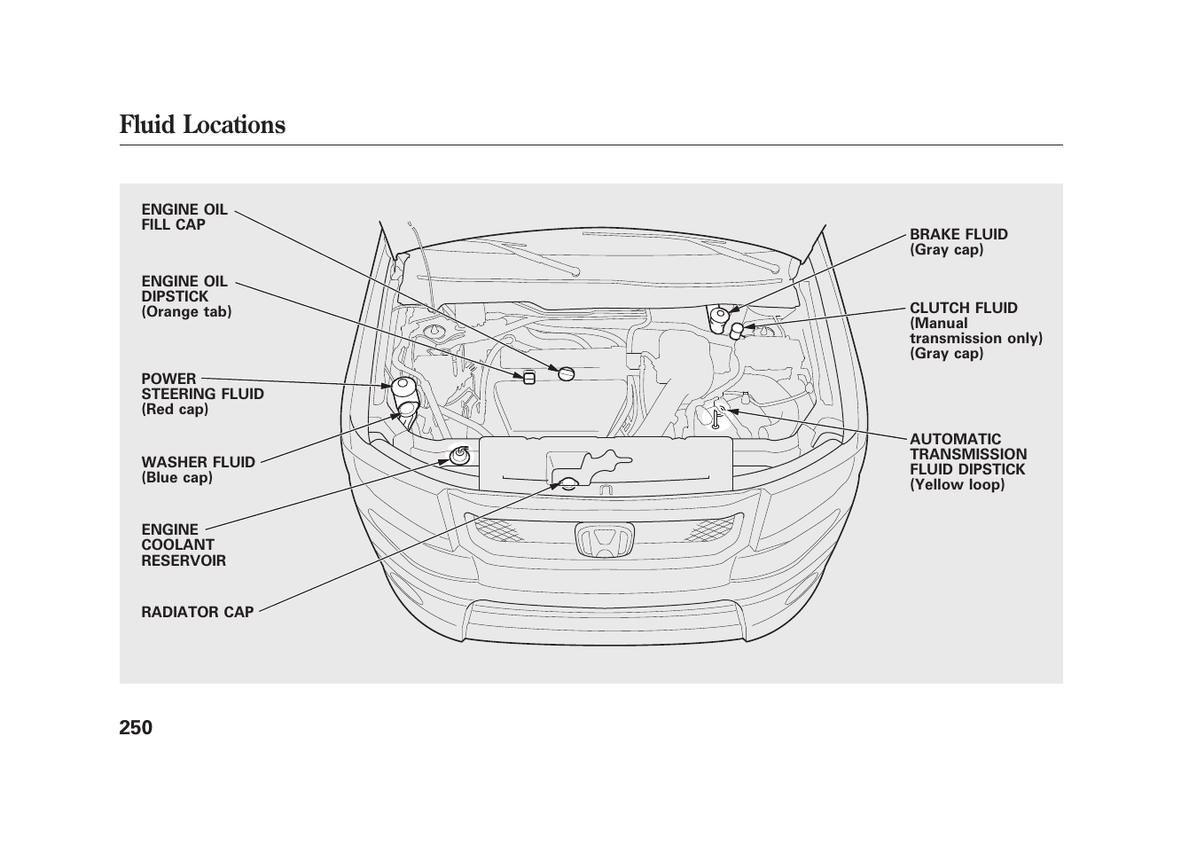 Fluid locations | HONDA 2010 Element User Manual | Page 256 / 346